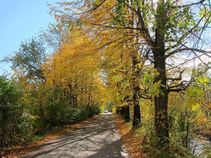 Mittagsstein
